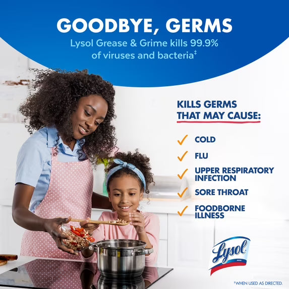 Lysol Kitchen Pro Antibacterial Cleaner, 22 fl oz