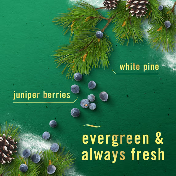 Febreze Odor-Fighting Air Freshener Spray, Room Spray, White Pine & Juniper Berry Air Mist, 8.1 oz, 1ct